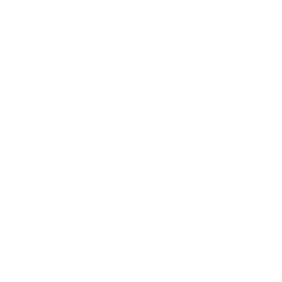 Swarovski Icon